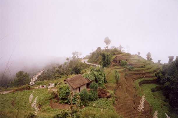 File94 paesaggi del sud nepalese